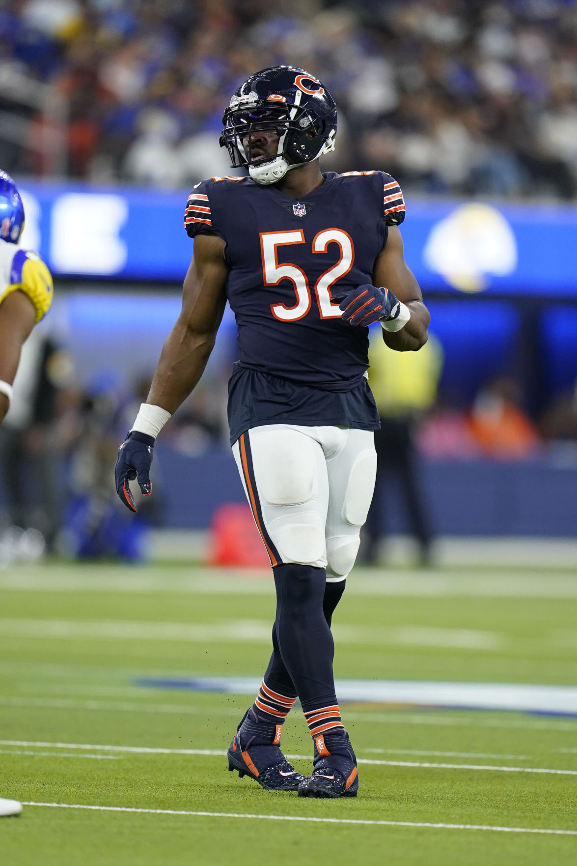 Bears Rams Football